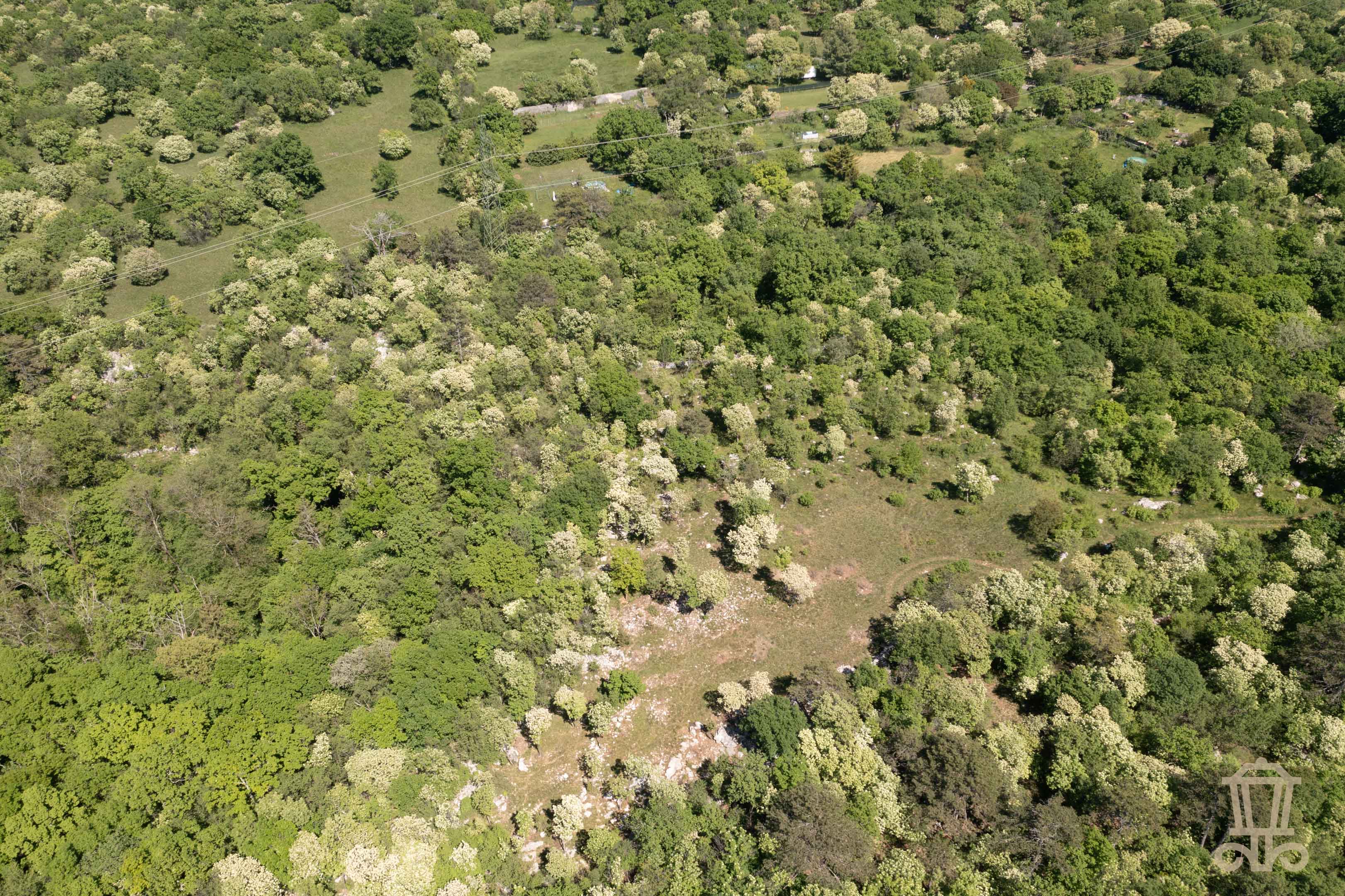 Immagine 1 | Terreno destinazione d'uso agricola a Padriciano - La Rue Immobiliare