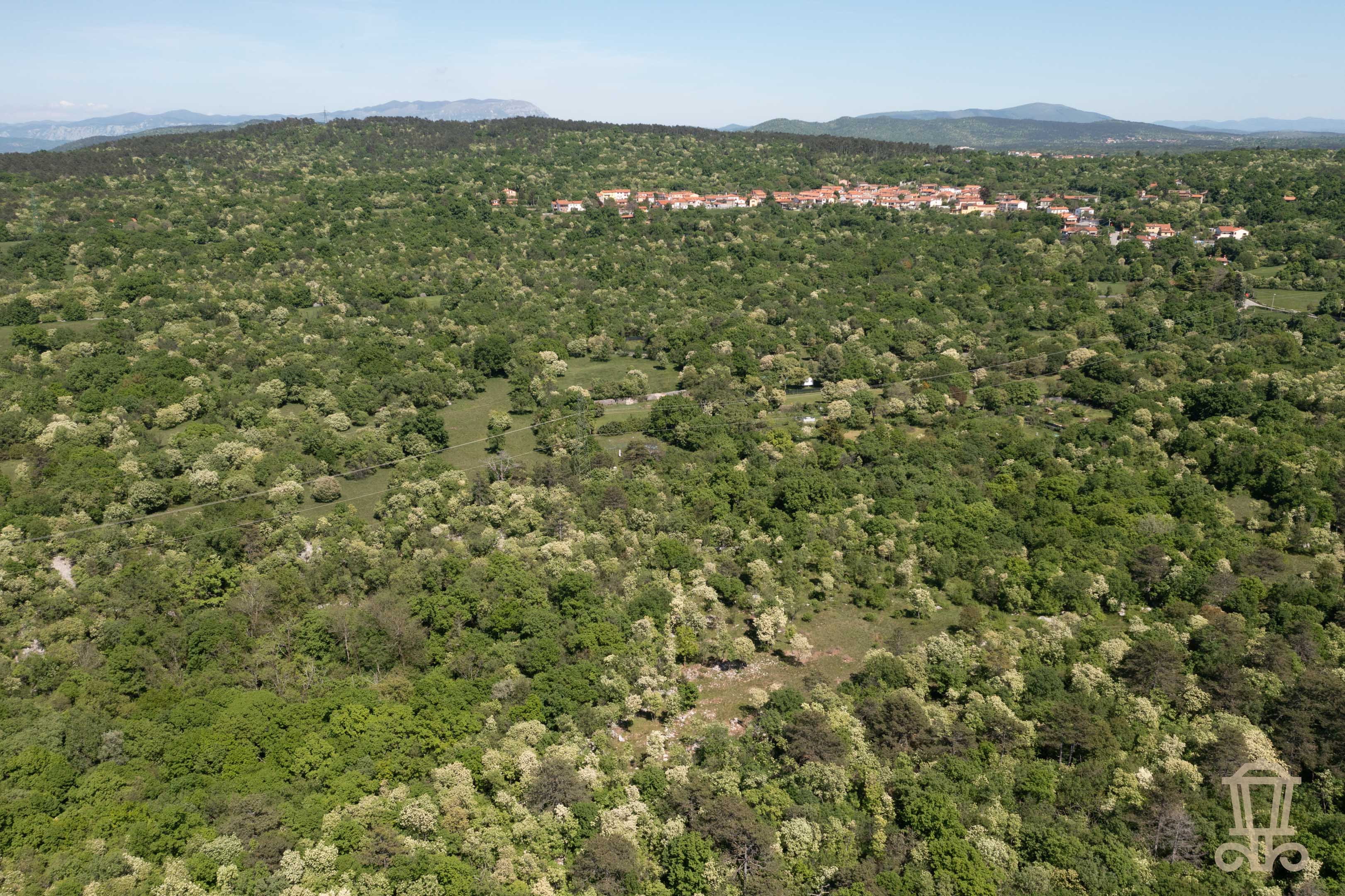 Immagine 3 | Terreno destinazione d'uso agricola a Padriciano - La Rue Immobiliare