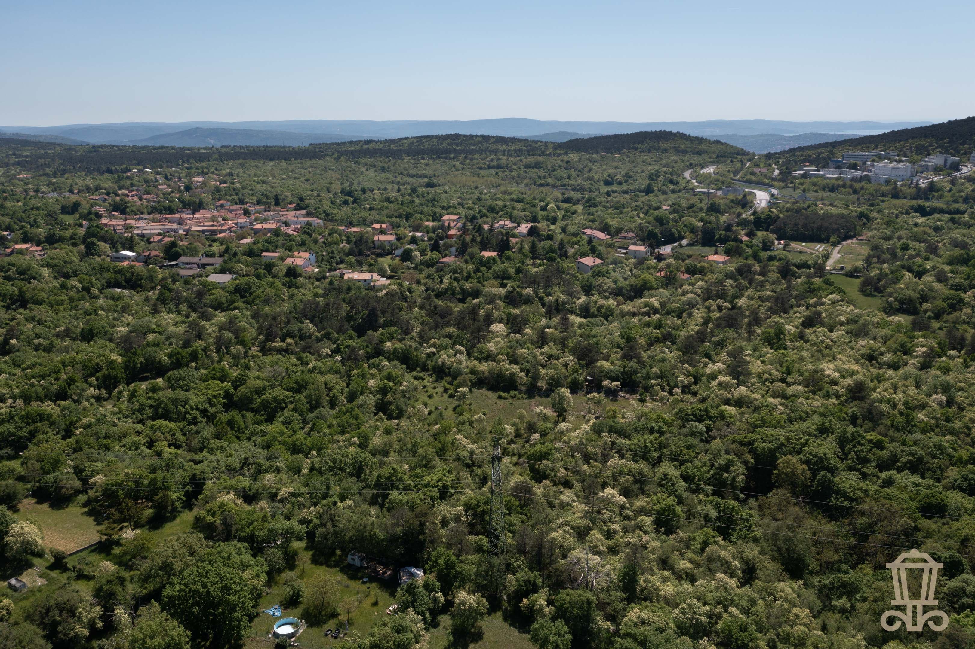 Immagine 5 | Terreno destinazione d'uso agricola a Padriciano - La Rue Immobiliare