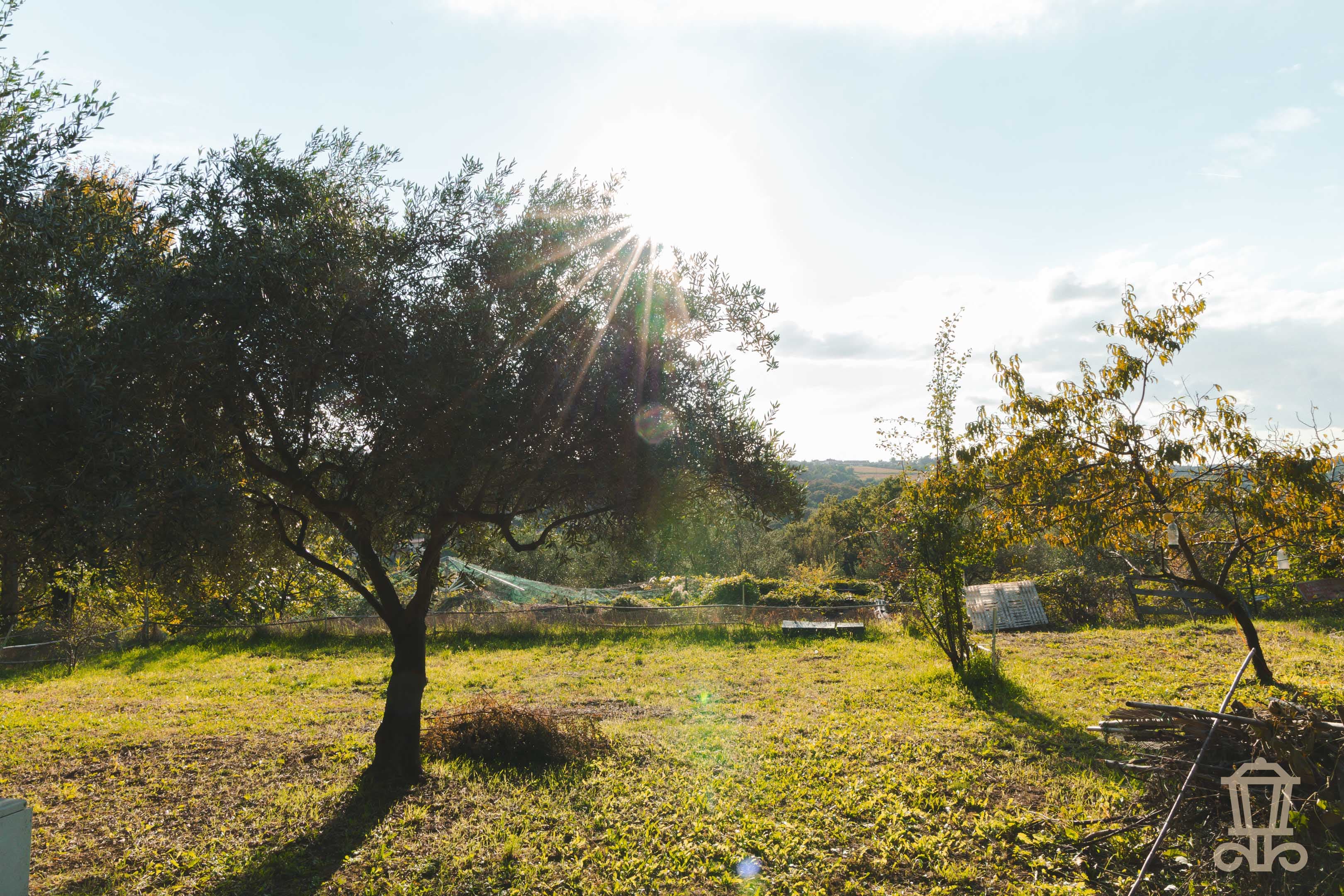 Immagine 4 | Ampio terreno agricolo a Santa Barbara - La Rue Immobiliare