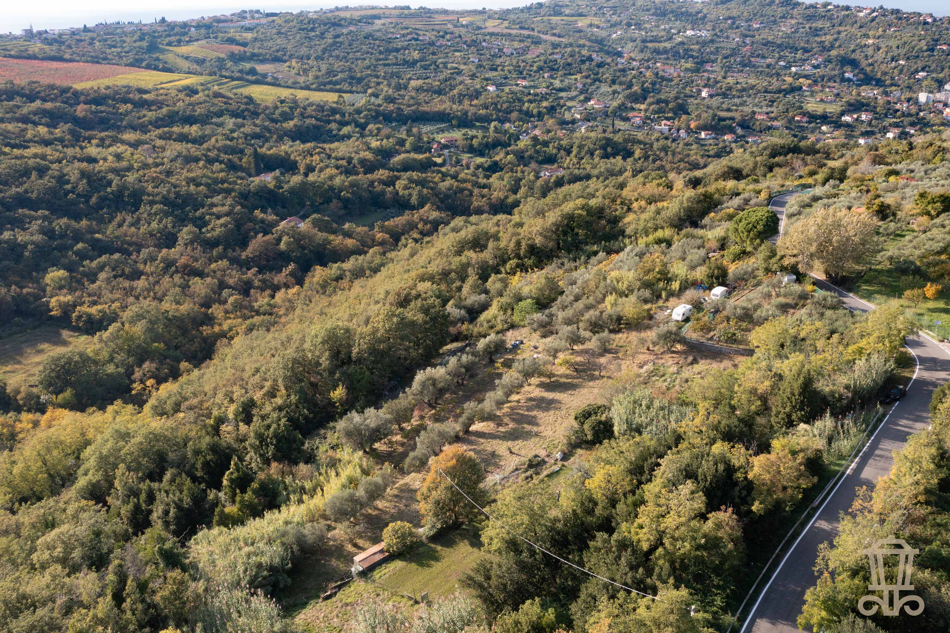 Immagine 10 | Ampio terreno agricolo a Santa Barbara - La Rue Immobiliare